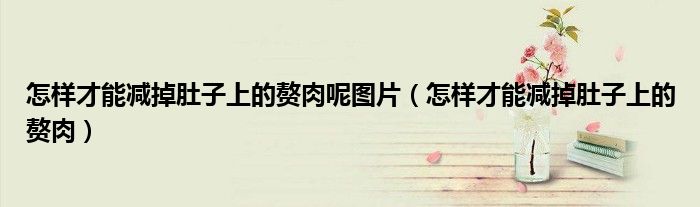 怎樣才能減掉肚子上的贅肉呢圖片（怎樣才能減掉肚子上的贅肉）