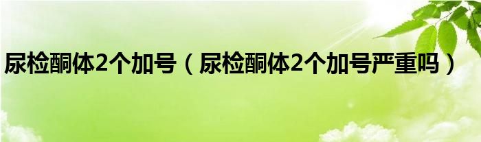 尿檢酮體2個加號（尿檢酮體2個加號嚴重嗎）