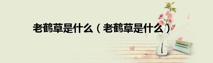 老鶴草是什么（老鶴草是什么）