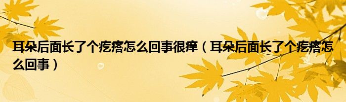 耳朵后面長了個疙瘩怎么回事很癢（耳朵后面長了個疙瘩怎么回事）