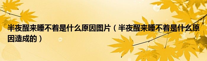 半夜醒來睡不著是什么原因圖片（半夜醒來睡不著是什么原因造成的）