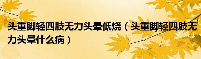 頭重腳輕四肢無(wú)力頭暈低燒（頭重腳輕四肢無(wú)力頭暈什么?。?class='thumb lazy' /></a>
		    <header>
		<h2><a  href=