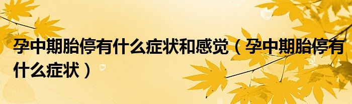 孕中期胎停有什么癥狀和感覺（孕中期胎停有什么癥狀）
