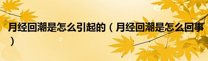 月經(jīng)回潮是怎么引起的（月經(jīng)回潮是怎么回事）