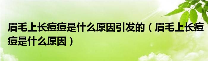 眉毛上長痘痘是什么原因引發(fā)的（眉毛上長痘痘是什么原因）