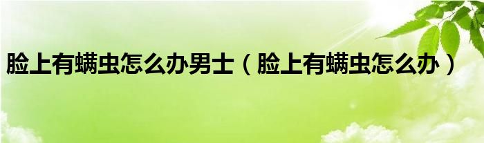 臉上有螨蟲怎么辦男士（臉上有螨蟲怎么辦）