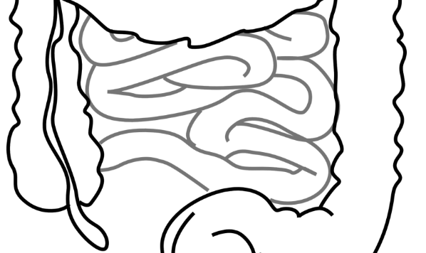 團隊發(fā)現(xiàn)在對抗腸道感染中神經系統(tǒng)是關鍵