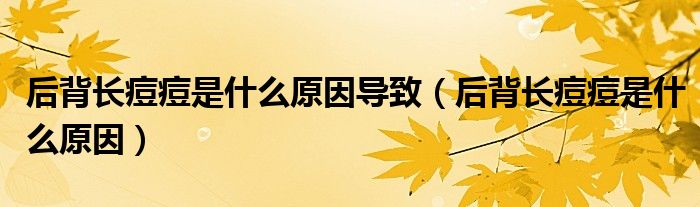 后背長痘痘是什么原因導致（后背長痘痘是什么原因）