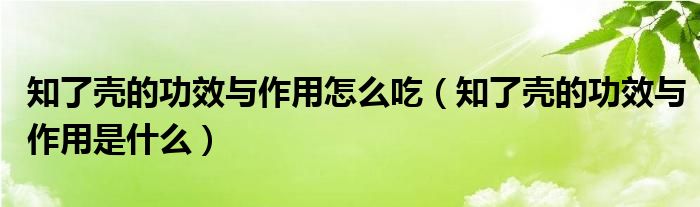 知了殼的功效與作用怎么吃（知了殼的功效與作用是什么）