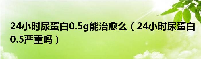 24小時(shí)尿蛋白0.5g能治愈么（24小時(shí)尿蛋白0.5嚴(yán)重嗎）