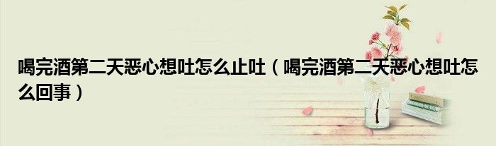 喝完酒第二天惡心想吐怎么止吐(喝完酒第二天惡心想吐怎么回事)
