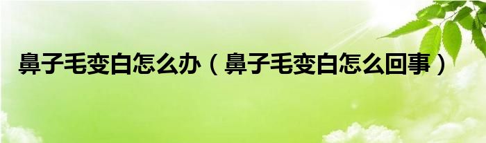 鼻子毛變白怎么辦（鼻子毛變白怎么回事）