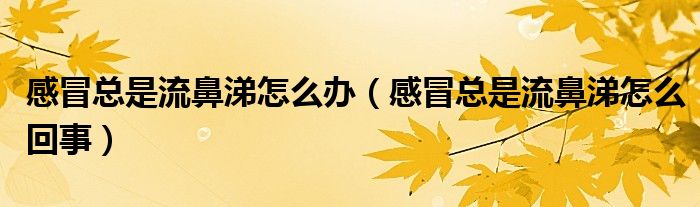 感冒總是流鼻涕怎么辦（感冒總是流鼻涕怎么回事）