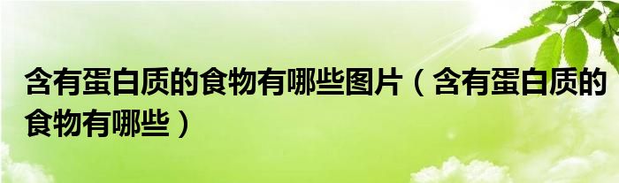 含有蛋白質(zhì)的食物有哪些圖片（含有蛋白質(zhì)的食物有哪些）