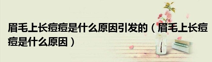 眉毛上長痘痘是什么原因引發(fā)的（眉毛上長痘痘是什么原因）