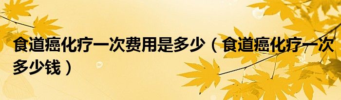 食道癌化療一次費(fèi)用是多少（食道癌化療一次多少錢）