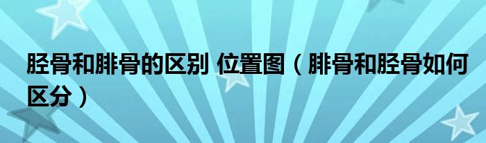 脛骨和腓骨的區(qū)別 位置圖（腓骨和脛骨如何區(qū)分）