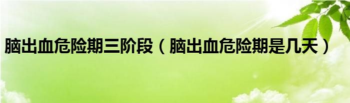 腦出血危險期三階段（腦出血危險期是幾天）