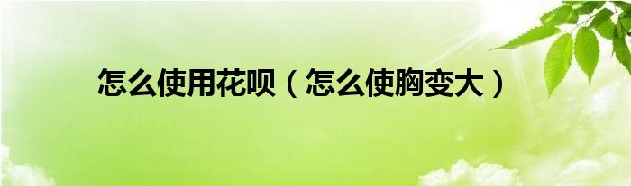 怎么使用花唄（怎么使胸變大）
