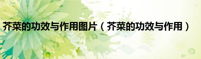 芥菜的功效與作用圖片（芥菜的功效與作用）