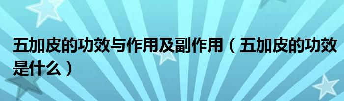 五加皮的功效與作用及副作用(五加皮的功效是什么)