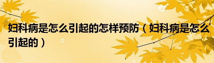 婦科病是怎么引起的怎樣預(yù)防（婦科病是怎么引起的）
