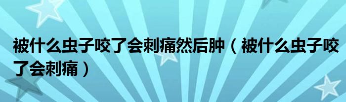 被什么蟲子咬了會(huì)刺痛然后腫（被什么蟲子咬了會(huì)刺痛）
