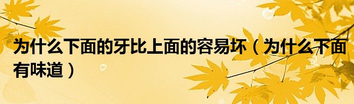 為什么下面的牙比上面的容易壞(為什么下面有味道)