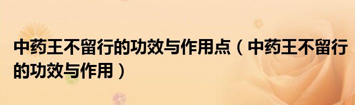 中藥王不留行的功效與作用點(diǎn)（中藥王不留行的功效與作用）