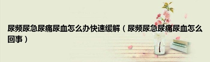 尿頻尿急尿痛尿血怎么辦快速緩解（尿頻尿急尿痛尿血怎么回事）