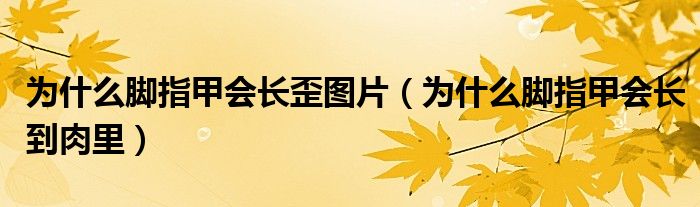 為什么腳指甲會長歪圖片（為什么腳指甲會長到肉里）