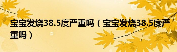 寶寶發(fā)燒38.5度嚴(yán)重嗎(寶寶發(fā)燒38.5度嚴(yán)重嗎)