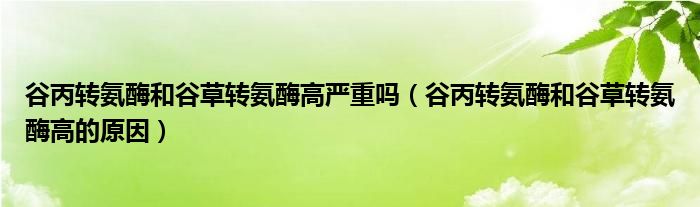 谷丙轉(zhuǎn)氨酶和谷草轉(zhuǎn)氨酶高嚴(yán)重嗎（谷丙轉(zhuǎn)氨酶和谷草轉(zhuǎn)氨酶高的原因）