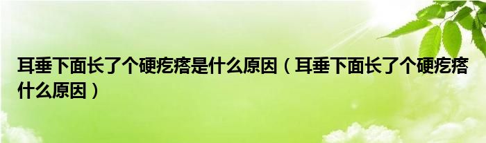 耳垂下面長了個硬疙瘩是什么原因（耳垂下面長了個硬疙瘩什么原因）