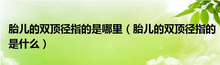 胎兒的雙頂徑指的是哪里（胎兒的雙頂徑指的是什么）