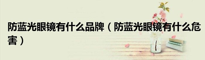 防藍(lán)光眼鏡有什么品牌（防藍(lán)光眼鏡有什么危害）
