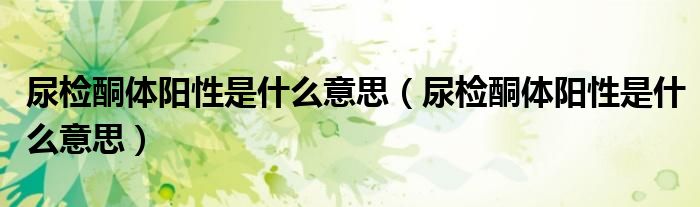 尿檢酮體陽性是什么意思（尿檢酮體陽性是什么意思）