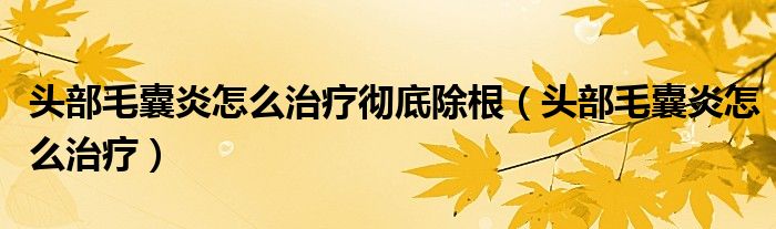 頭部毛囊炎怎么治療徹底除根（頭部毛囊炎怎么治療）