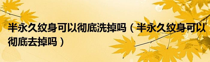 半永久紋身可以徹底洗掉嗎（半永久紋身可以徹底去掉嗎）