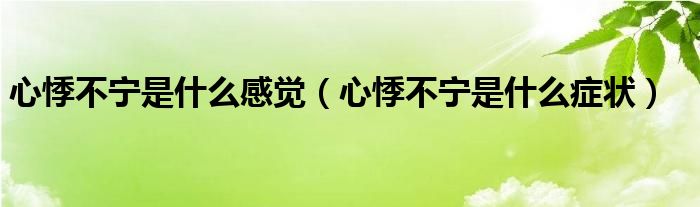 心悸不寧是什么感覺(jué)(心悸不寧是什么癥狀)