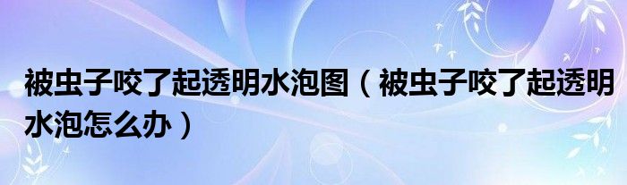 被蟲子咬了起透明水泡圖（被蟲子咬了起透明水泡怎么辦）