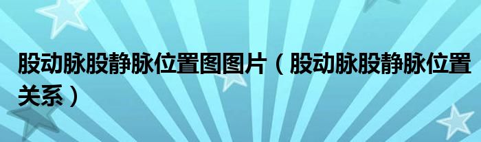 股動(dòng)脈股靜脈位置圖圖片（股動(dòng)脈股靜脈位置關(guān)系）