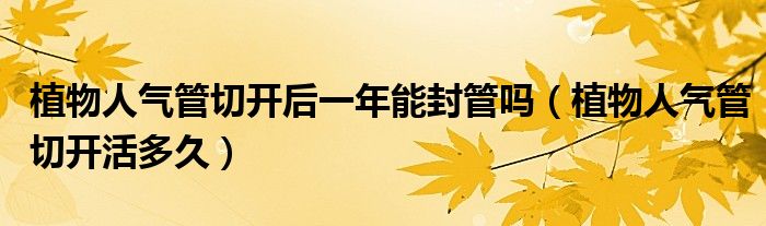 植物人氣管切開后一年能封管嗎（植物人氣管切開活多久）