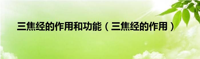 三焦經的作用和功能（三焦經的作用）