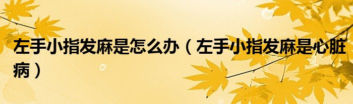 左手小指發(fā)麻是怎么辦（左手小指發(fā)麻是心臟?。?class='thumb lazy' /></a>
		    <header>
		<h2><a  href=