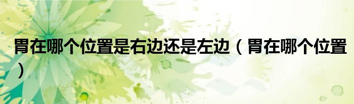 胃在哪個位置是右邊還是左邊（胃在哪個位置）
