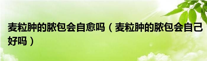 麥粒腫的膿包會(huì)自愈嗎（麥粒腫的膿包會(huì)自己好嗎）