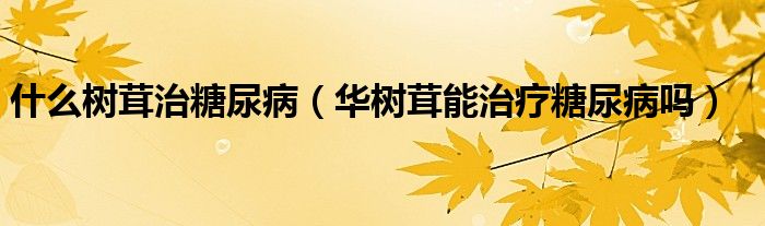 什么樹(shù)茸治糖尿病（華樹(shù)茸能治療糖尿病嗎）