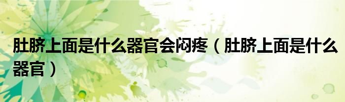 肚臍上面是什么器官會(huì)悶疼(肚臍上面是什么器官)