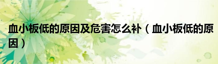 血小板低的原因及危害怎么補(bǔ)(血小板低的原因)